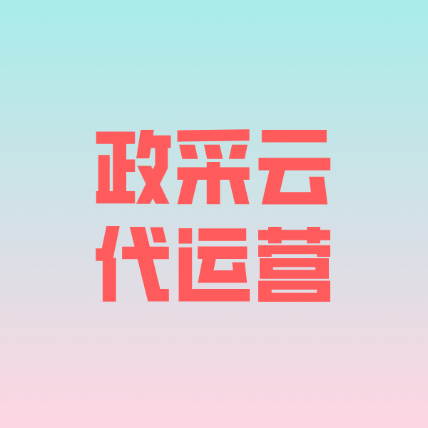 泗阳政采云代运营